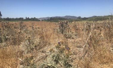 Sitio en venta en Melipilla