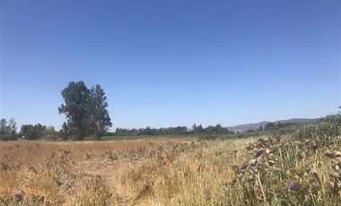 Sitio en venta en Melipilla