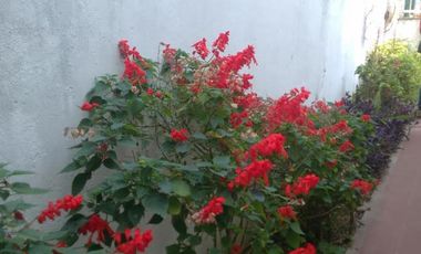 casa tres ambientes amplios