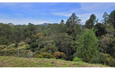 Venta de Lote En Unidad Cerrada Juanito Laguna El Retiro