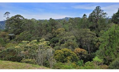 Venta de Lote En Unidad Cerrada Juanito Laguna El Retiro