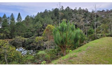 Venta de Lote En Unidad Cerrada Juanito Laguna El Retiro