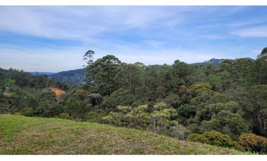 Venta de Lote En Unidad Cerrada Juanito Laguna El Retiro