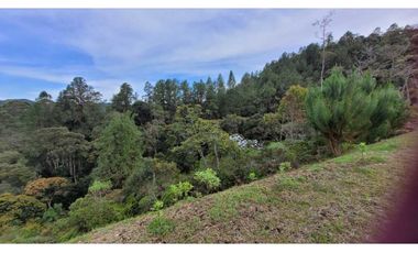 Venta de Lote En Unidad Cerrada Juanito Laguna El Retiro