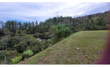 Venta de Lote En Unidad Cerrada Juanito Laguna El Retiro