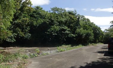 For Sale: Residential Lot in Batangas