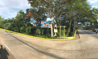 Vacant Commercial Lot for Sale in Brgy. Tagburos, Puerto Princesa, Palawan