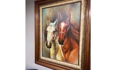 Alquiler de Casa Duplex Comercial en Obarrio (MM)