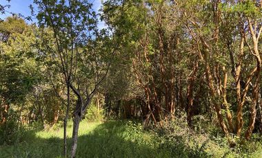 Parcela en Venta en Parcela de 1 Há y con 2 casas. Con Orilla de Playa y al costado del camino Caicaén- Calbuco