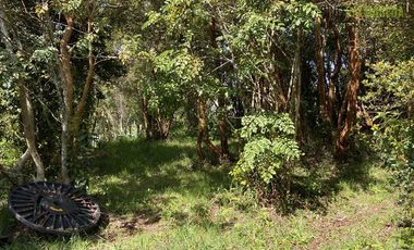 Parcela en Venta en Parcela de 1 Há y con 2 casas. Con Orilla de Playa y al costado del camino Caicaén- Calbuco