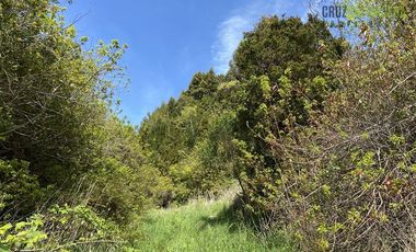 Parcela en Venta en Parcela de 1 Há y con 2 casas. Con Orilla de Playa y al costado del camino Caicaén- Calbuco