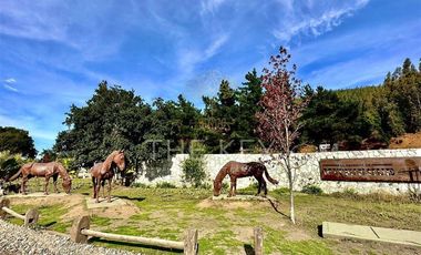 Sitio en Venta en Camino a Santa Juana - Reserva de Mitrinhue