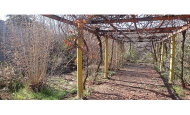 Venta terreno con casa antigua cercano al centro Los Andes