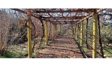 Venta terreno con casa antigua cercano al centro Los Andes