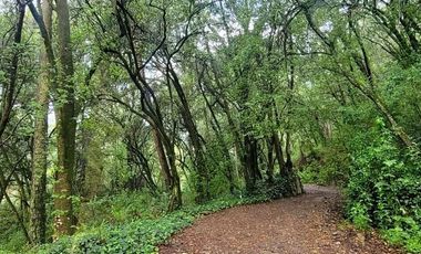 TERRENO EN VENTA EN CONTADERO ARTEAGA Y SALAZAR