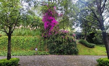 TERRENO EN VENTA EN CONTADERO ARTEAGA Y SALAZAR