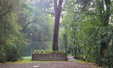 TERRENO EN VENTA EN CONTADERO ARTEAGA Y SALAZAR