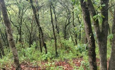 TERRENO EN VENTA EN CONTADERO ARTEAGA Y SALAZAR