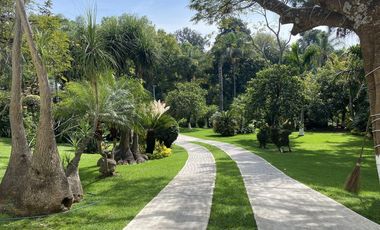 Buena Vista residencial  H1,