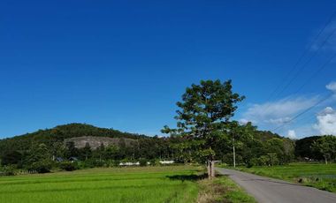 Land for sale in Huai Sai, Chiang Mai
