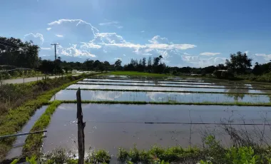 Land for sale in Huai Sai, Chiang Mai