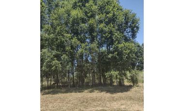 LINDA CASA CON PARCELA CAMINO VILLARRICA LONCOCHE