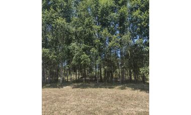 LINDA CASA CON PARCELA CAMINO VILLARRICA LONCOCHE