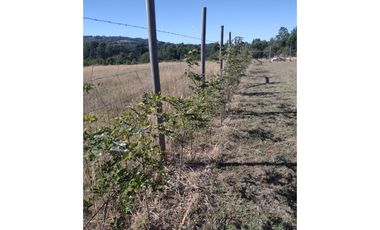 LINDA CASA CON PARCELA CAMINO VILLARRICA LONCOCHE
