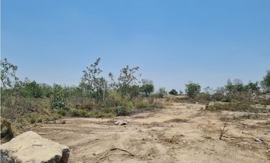 Terreno en Renta Carretera a Salinas Victoria