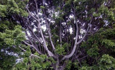 Tepoztlán Morelos: Hermosa Casa en Venta