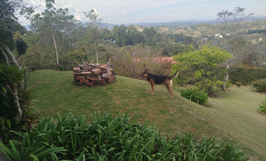 finca en arriendo en via aeropuerto-guarne. Cod A400633