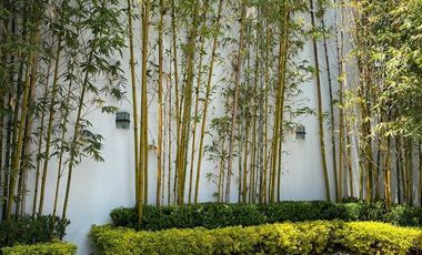 ESPECTACULAR CASA CALLE CERRADA PEDREGAL