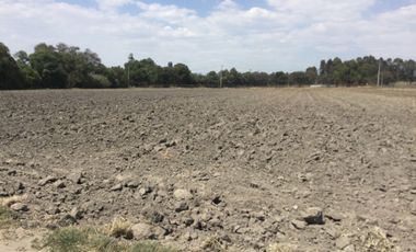 VENTA TERRENO  SAN MIGUEL XOXTLA ATRAS DE TERNIUM