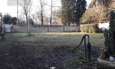 Casa - Glew