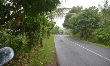 Land for sale