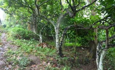 Land for sale