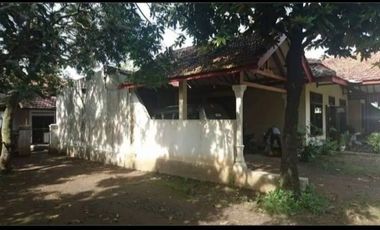 Dijual Cepat rumah joglo full jati eks Rumah Makan jln raya Mojoagung Jombang*