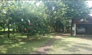 Dijual Cepat rumah joglo full jati eks Rumah Makan jln raya Mojoagung Jombang*