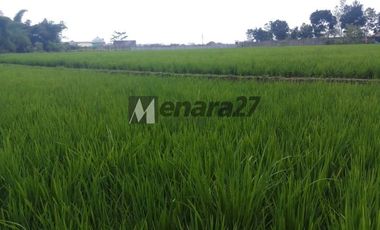 Tanah potensial untuk pergudangan perumahan di banjaran