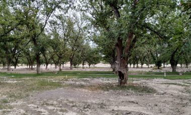 TERRENOS EN VENTA EN PARRAS DE LA FUENTE COAHUILA
