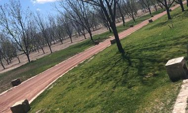 TERRENOS EN VENTA EN PARRAS DE LA FUENTE COAHUILA