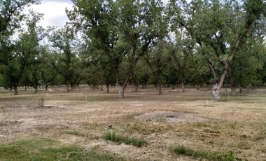TERRENOS EN VENTA EN PARRAS DE LA FUENTE COAHUILA
