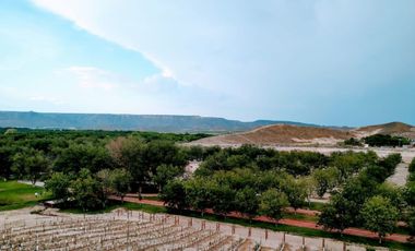 TERRENOS EN VENTA EN PARRAS DE LA FUENTE COAHUILA
