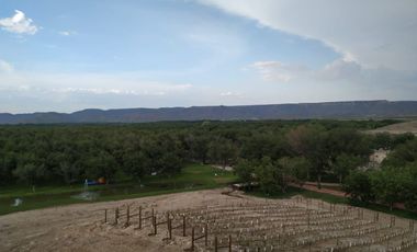 TERRENOS EN VENTA EN PARRAS DE LA FUENTE COAHUILA