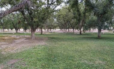 TERRENOS EN VENTA EN PARRAS DE LA FUENTE COAHUILA