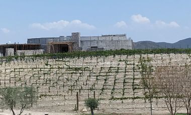 TERRENOS EN VENTA EN PARRAS DE LA FUENTE COAHUILA