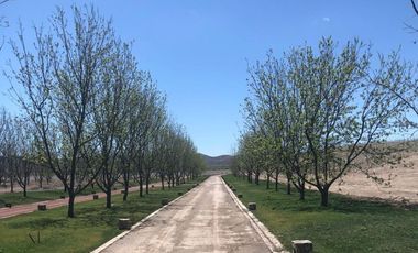 TERRENOS EN VENTA EN PARRAS DE LA FUENTE COAHUILA