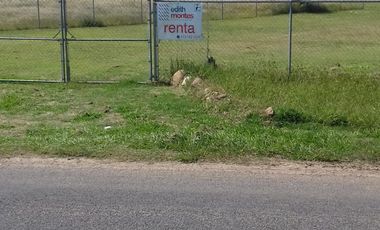 TERRENO  COMERCIAL EN RENTA O VENTA  LA TRINIDAD A PIE DE CARRETERA
