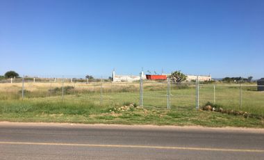 TERRENO  COMERCIAL EN RENTA O VENTA  LA TRINIDAD A PIE DE CARRETERA