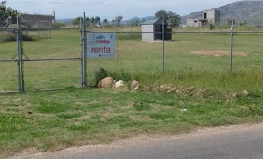 TERRENO  COMERCIAL EN RENTA O VENTA  LA TRINIDAD A PIE DE CARRETERA